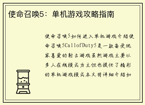 使命召唤5：单机游戏攻略指南